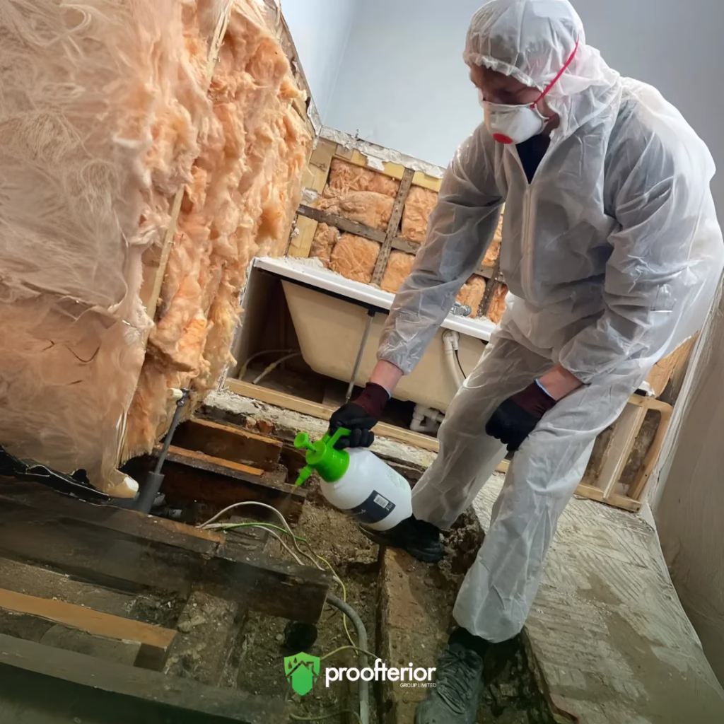 Targeted treatment for wet rot, dry rot and woodworm