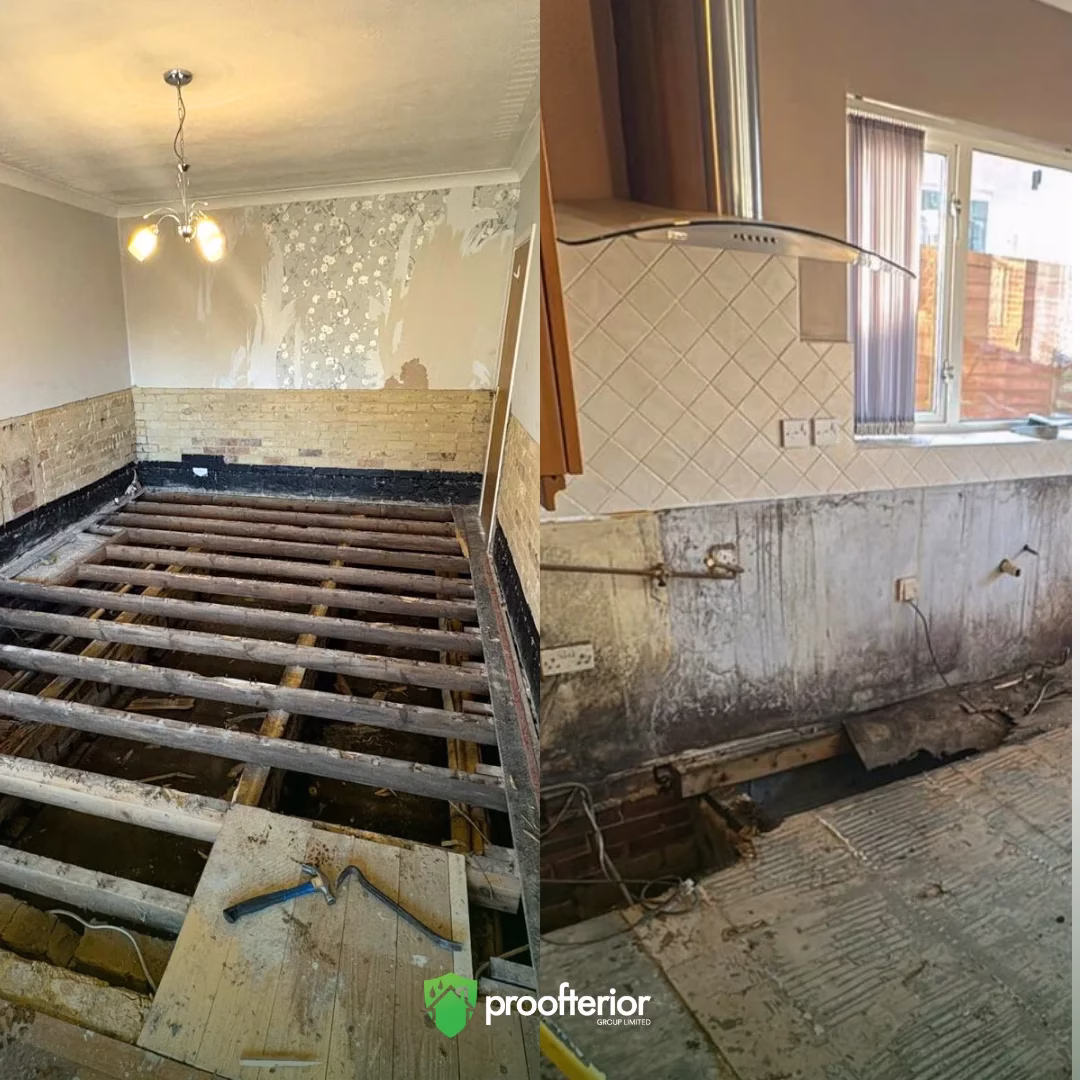 Timber decay caused by damp