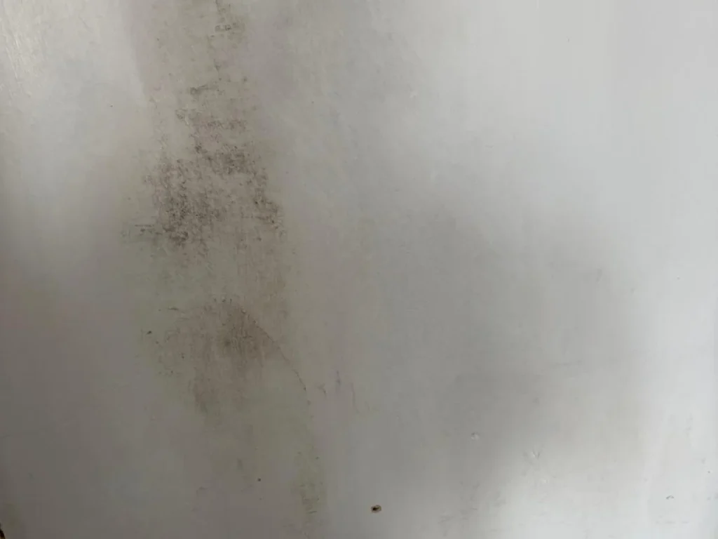 Condensation-driven black mould on a wall surface