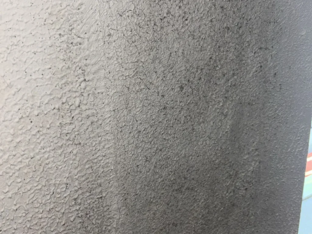 Close-up of mould growth on a damp wall