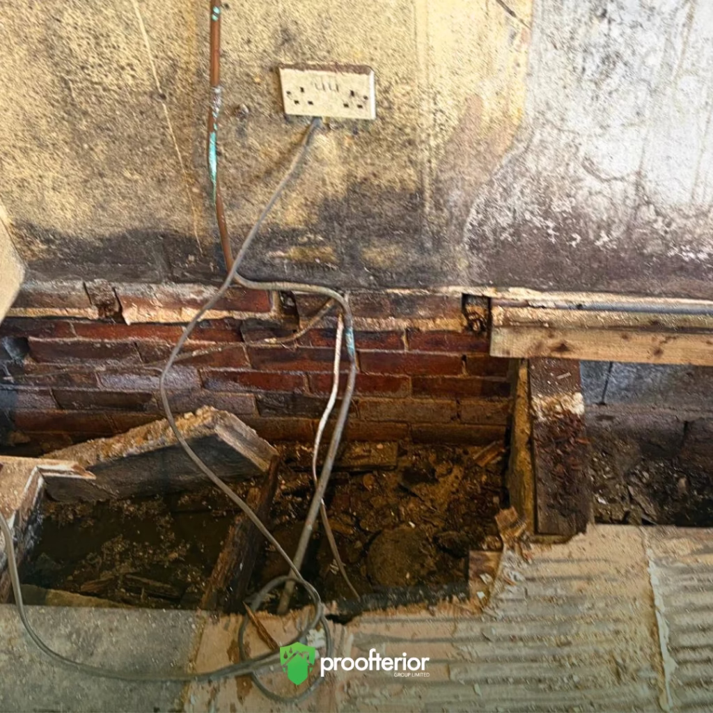 Damp and timber survey by a Proofterior specialist