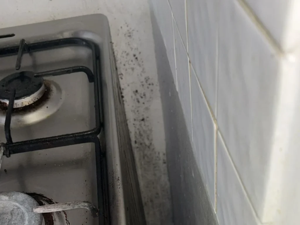 Black mould in a kitchen caused by condensation