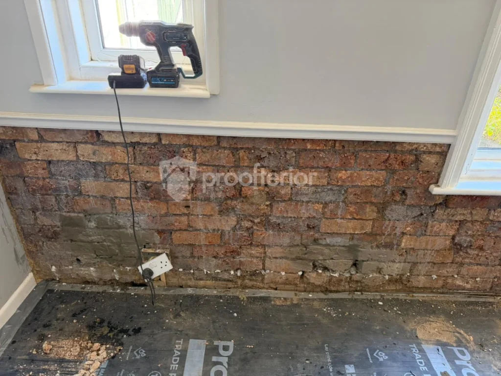 Rising damp drawn up an internal wall by capillary action