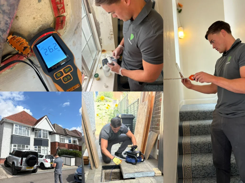 What Is a Damp Survey and What Does It Include?
