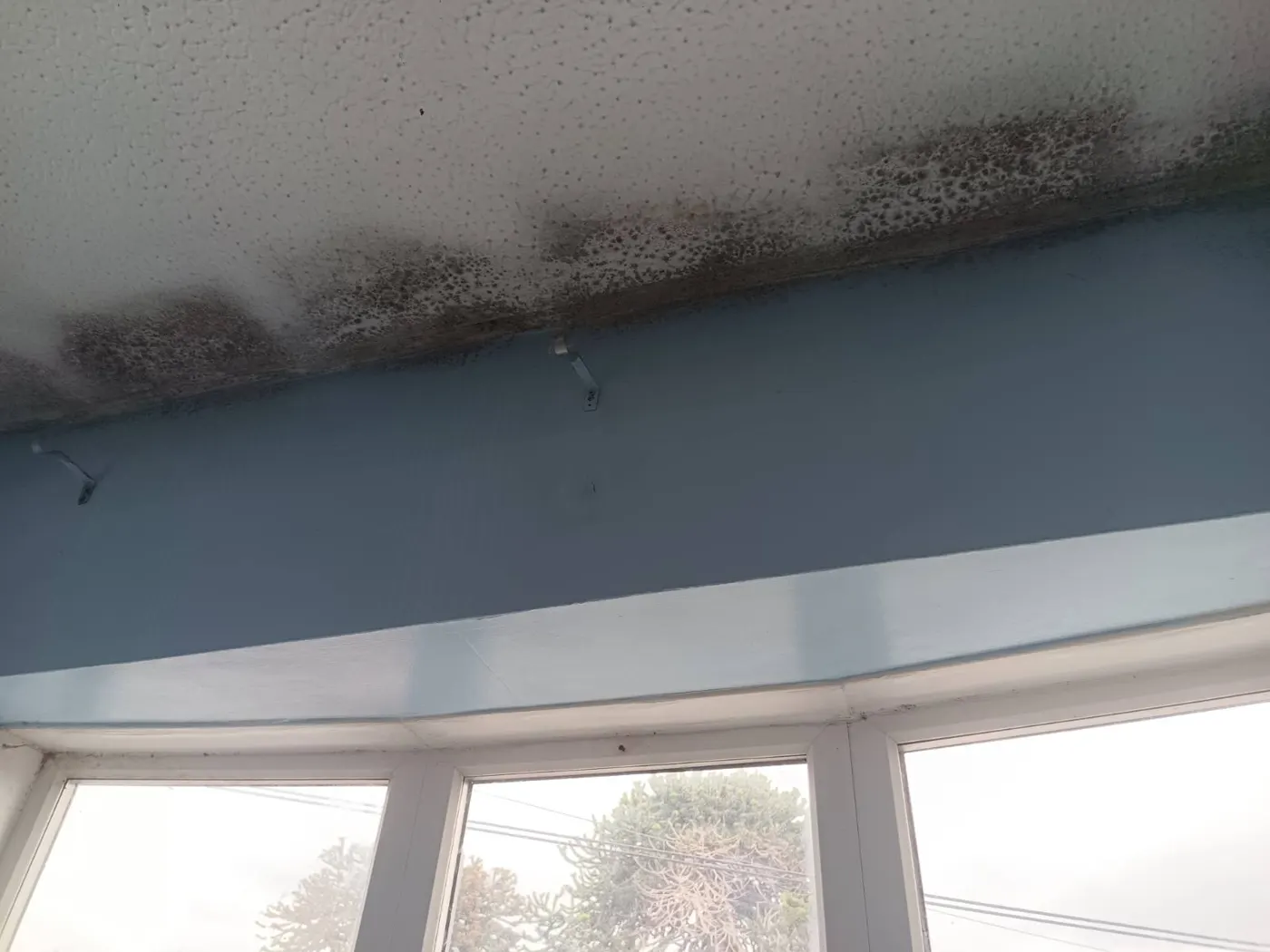 Black mould along the ceiling above a bay window in a Southampton home before treatment