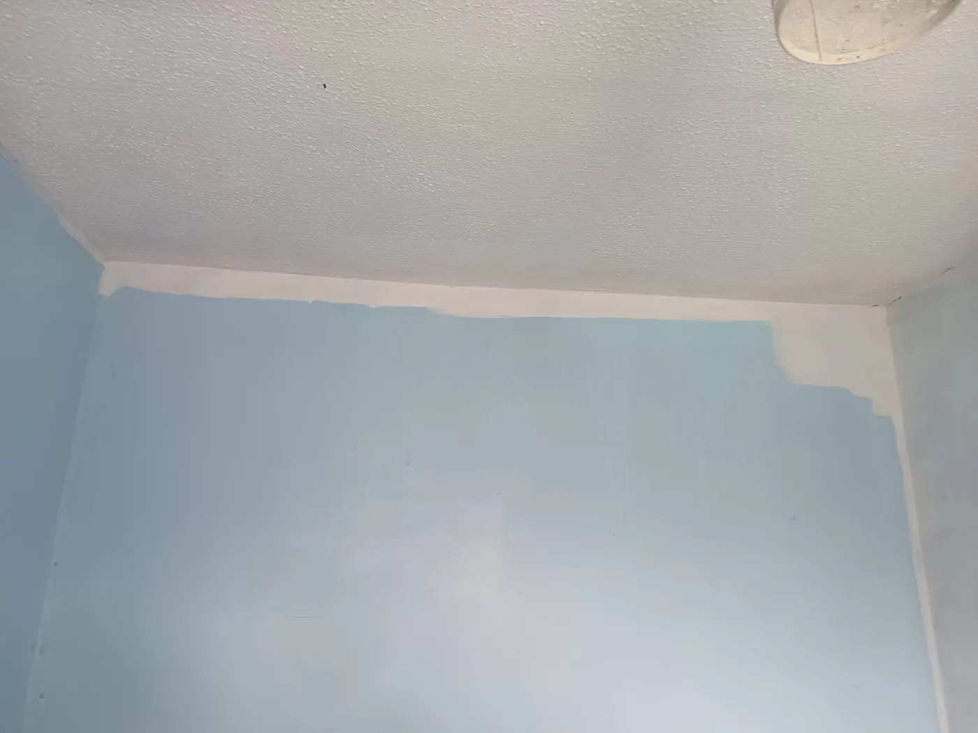 Anti-condensation coating applied to a bedroom wall and ceiling after mould treatment