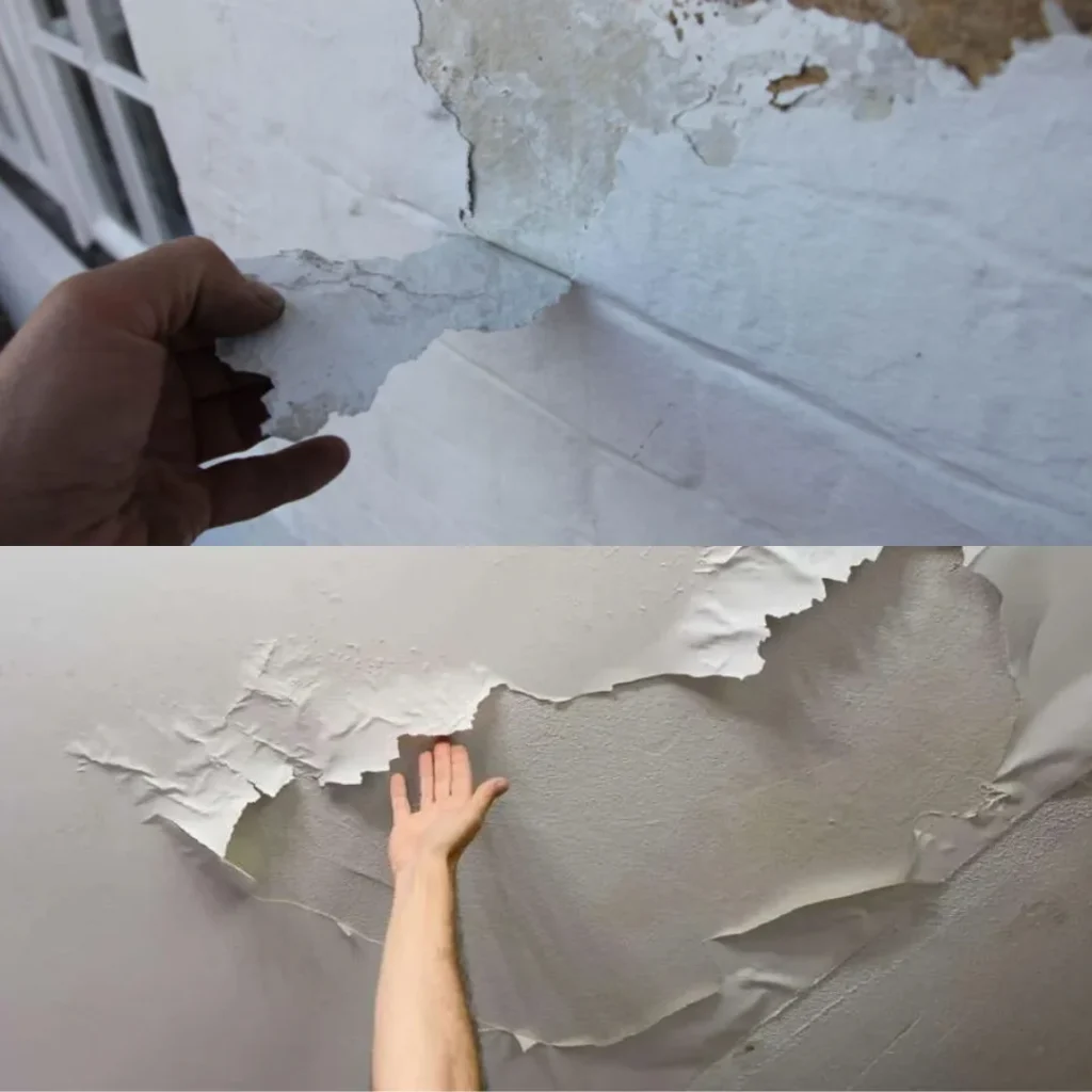 Peeling and flaking paint on a damp internal wall