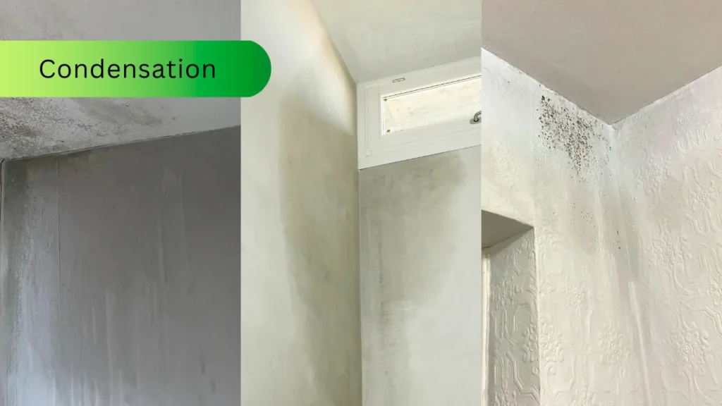 Collage of three photos showing condensation on interior walls: left image with black mould and water streaks on a grey wall and ceiling corner, center image with damp patches around a small white window, right image with mould growth in the upper corner of a patterned wallpapered wall.