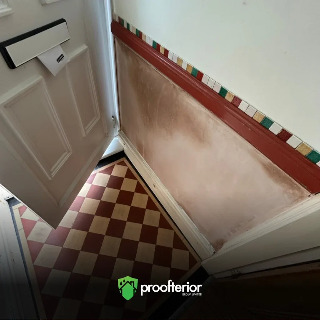 Proofterior rising damp treatment in hallway with replastered wall.