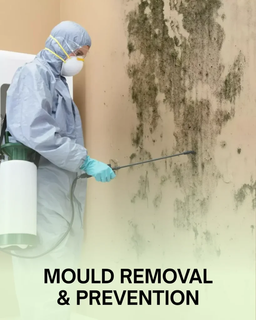 Proofterior mould removal and prevention specialist in protective gear spraying contaminated wall, helping homeowners in Dorset and Hampshire eliminate black mould, improve indoor air quality, and protect against damp problems across the South of England.