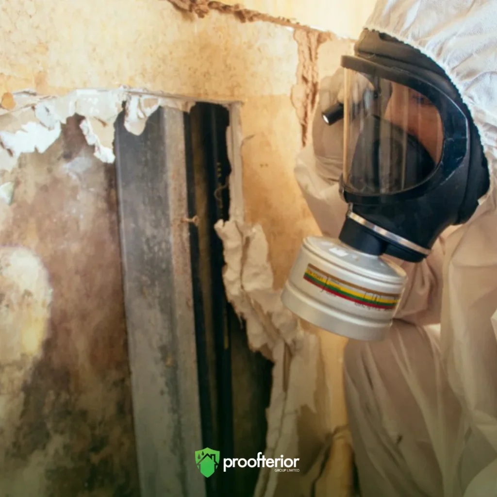 Proofterior expert conducting a damp and mould inspection inside a Bournemouth home to identify causes of black mould and humidity damage.