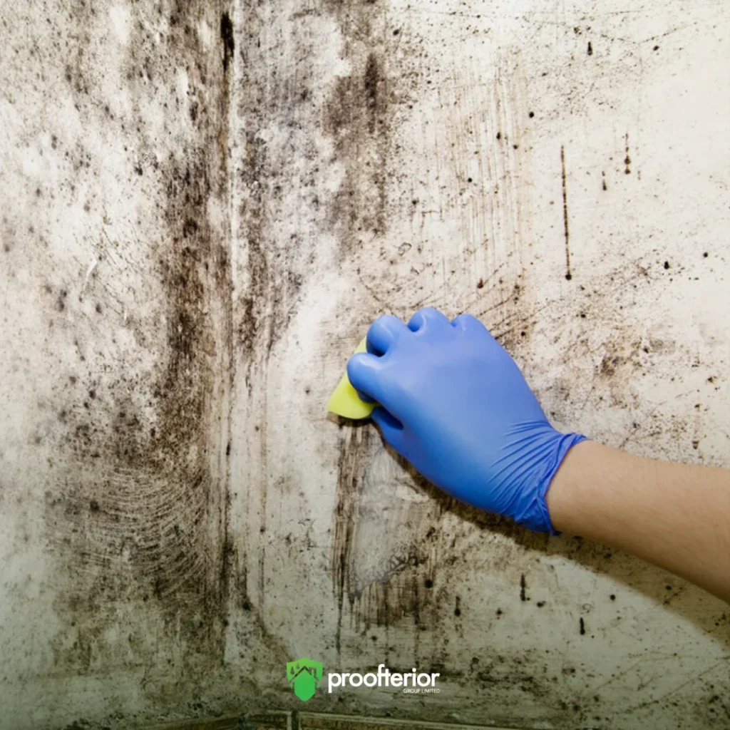 Technician wearing protective gear applying specialist mould cleaning solution to interior walls during a Bournemouth property restoration.