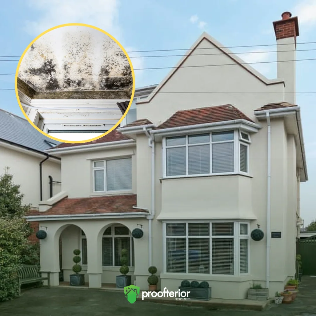 Close-up of black mould and condensation damage on an interior wall in a Bournemouth coastal home before professional cleaning.