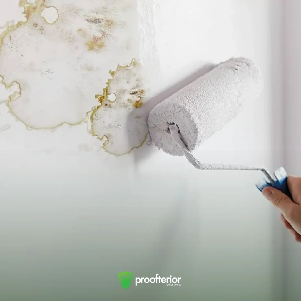 Homeowner applying mould-resistant paint to a cleaned wall after Proofterior’s damp control treatment in Bournemouth.