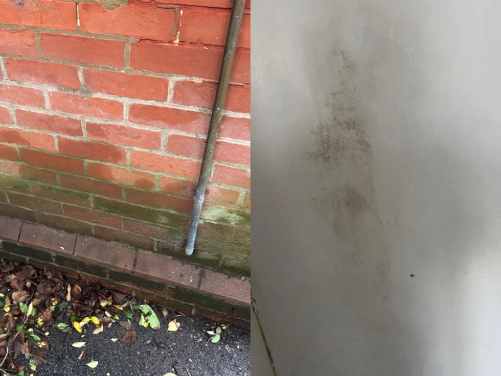View of a dry, freshly plastered bay window in Southampton following a comprehensive Proofterior damp treatment, with the service van visible outside.