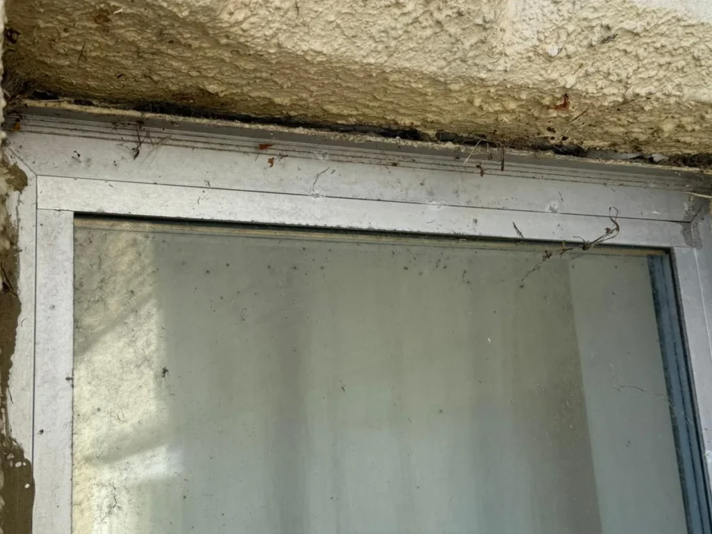 Severe condensation and black mould growth around a window frame in a Southampton property, often mistaken for damp but caused by poor ventilation.